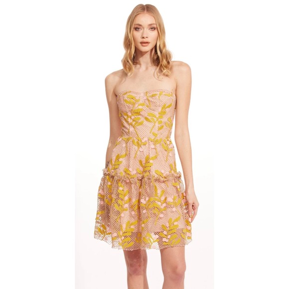 Eva Franco Strapless Embroidered Mini Dress Size 2 Blush Pink Floral Anthro - Picture 6 of 6